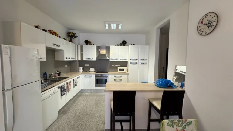 2 Bedroom Apartment for Rent in Limassol District