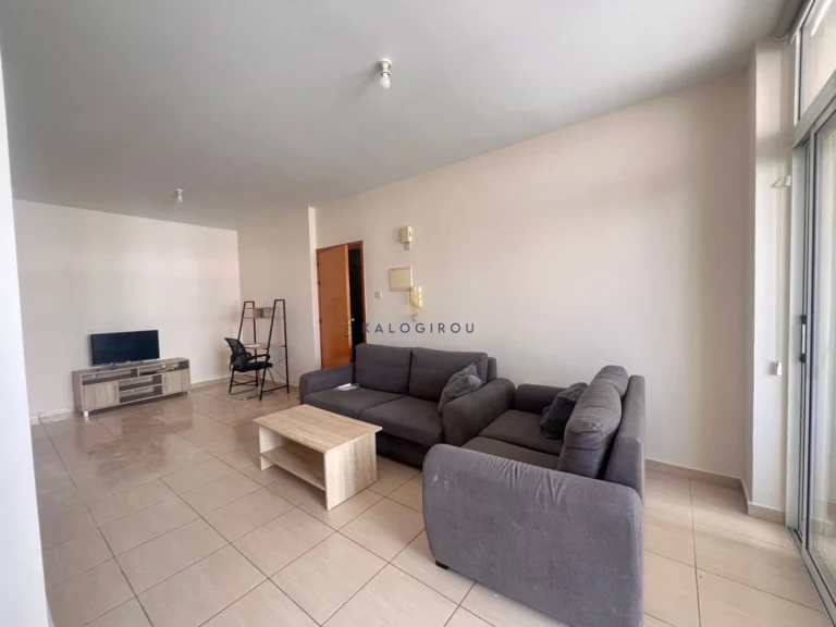 2 Bedroom Apartment for Rent in Larnaca District