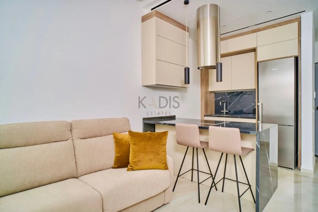 1 Bedroom Apartment for Rent in Limassol District
