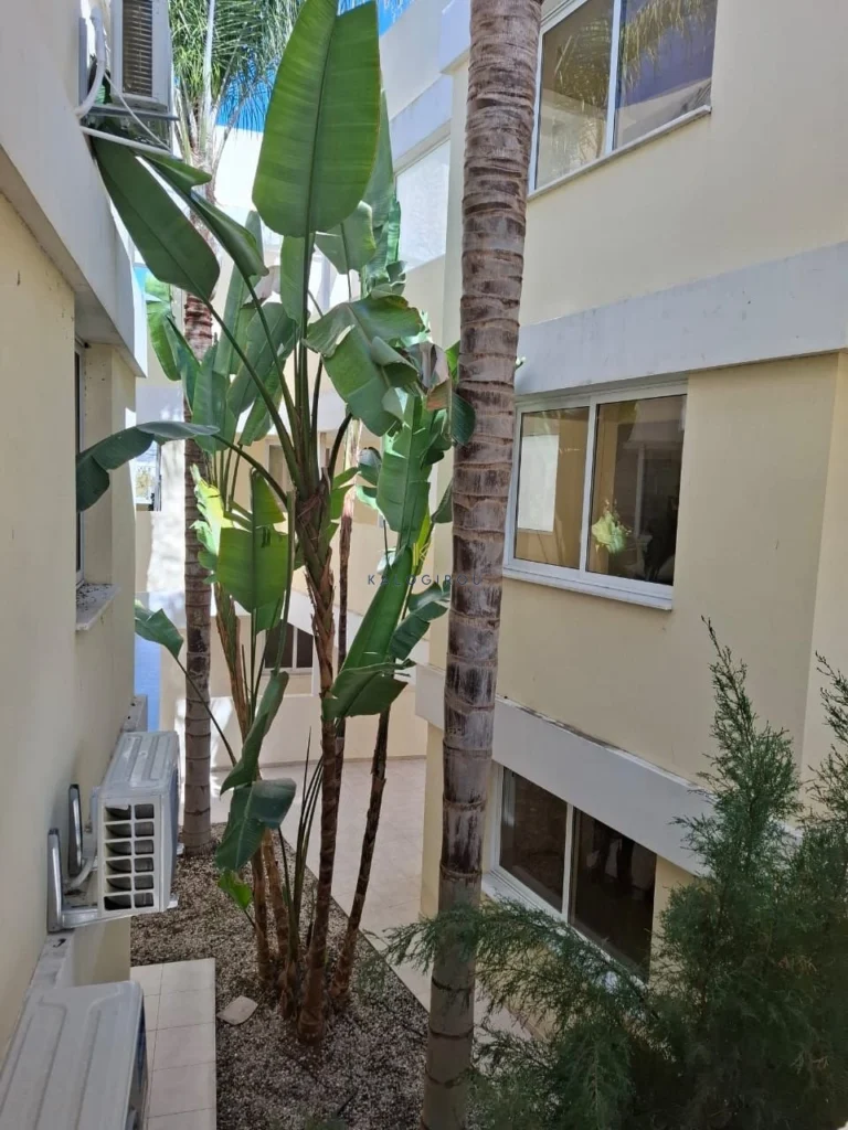 Φτηνά διαμερίσματα προς ενοικίαση Κύπρος