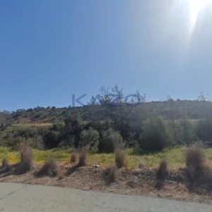27,004m² Plot for Sale in Parekklisia, Limassol District