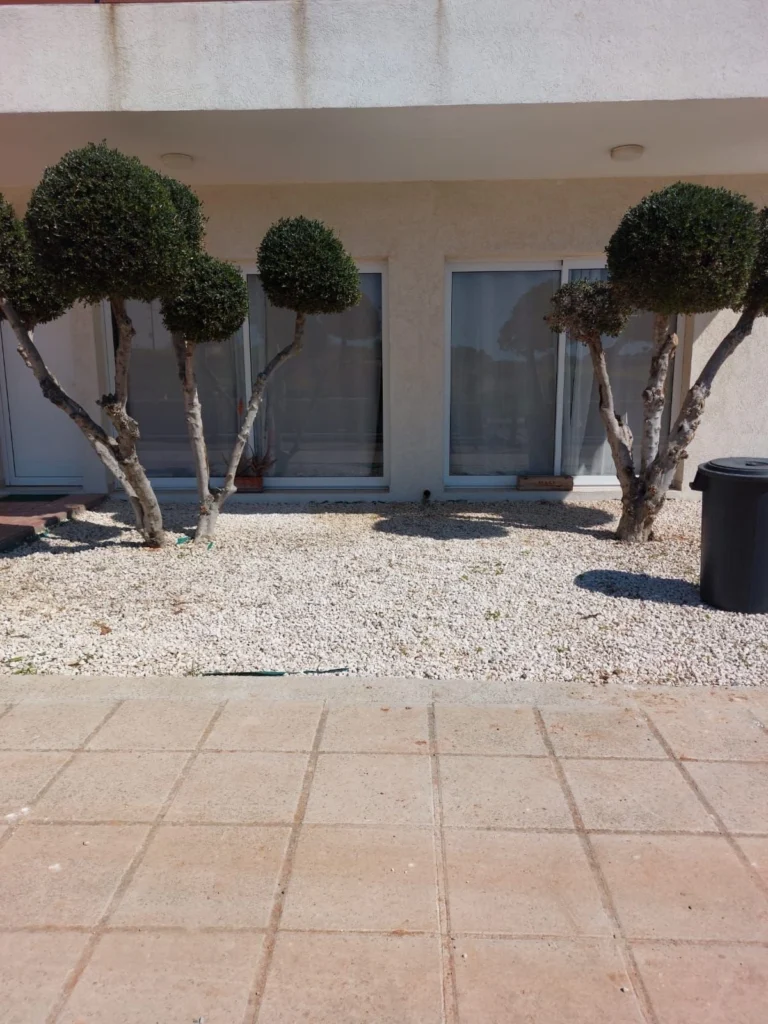 1 Bedroom Apartment for Rent in Limassol – Zakaki