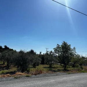 10,168m² Plot for Sale in Apesia, Limassol District
