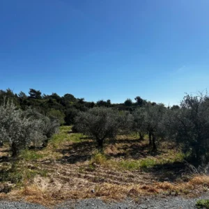 10,168m² Plot for Sale in Apesia, Limassol District