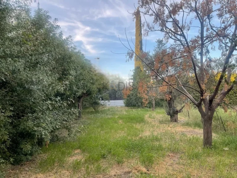 Cheap Houses and Villas for Sale Nicosia up to 600000 euro