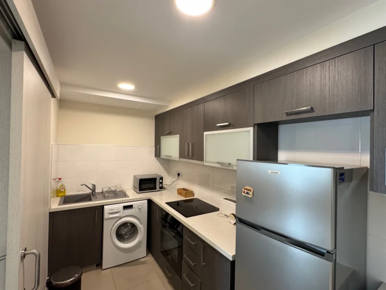 1 Bedroom Apartment for Rent in Limassol District