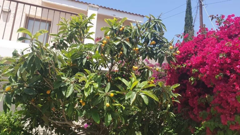 3 Bedroom House for Sale in Agios Tychonas, Limassol District