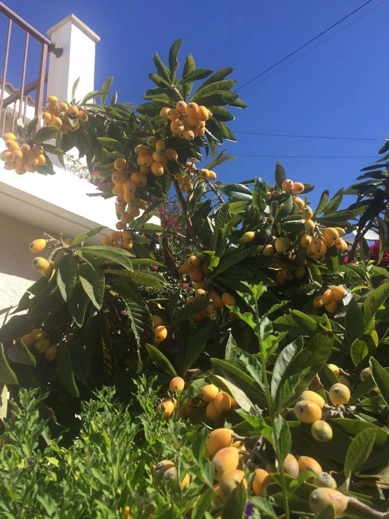 3 Bedroom House for Sale in Agios Tychonas, Limassol District