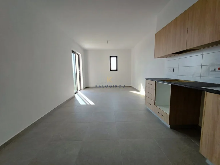 2 Bedroom Apartment for Rent in Larnaca District