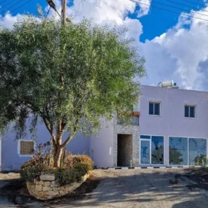Commercial for Sale in Nicosia District