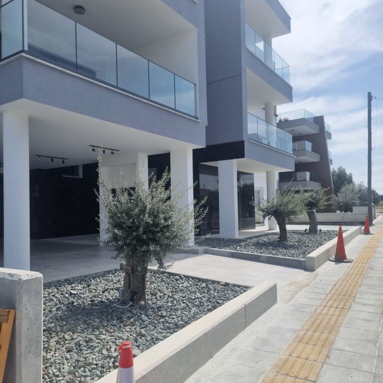 2 Bedroom Apartment for Rent in Latsia, Nicosia District