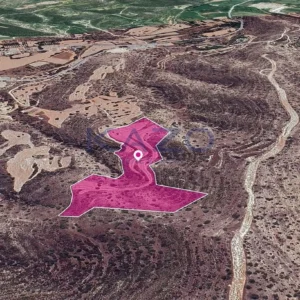 36,121m² Plot for Sale in Agios Theodoros, Larnaca District