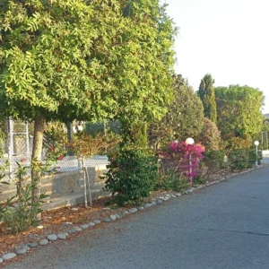 5 Bedroom House for Sale in Pyrgos Lemesou, Limassol District