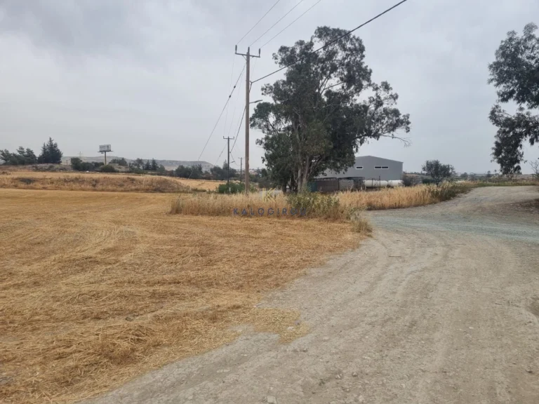 Plots of Land for Sale