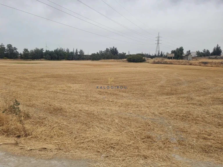 8,560m² Plot for Sale in Aradippou, Larnaca District