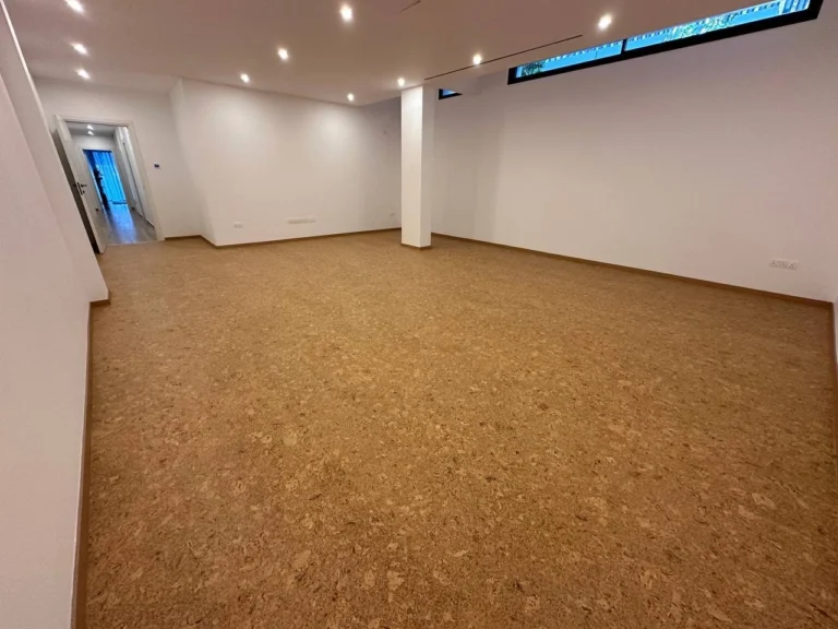 6+ Bedroom House for Sale in Souni, Limassol District