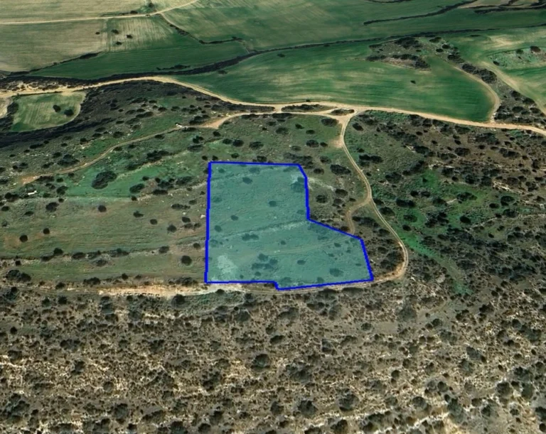 for Sale in Paphos – Agios Theodoros, Larnaca District