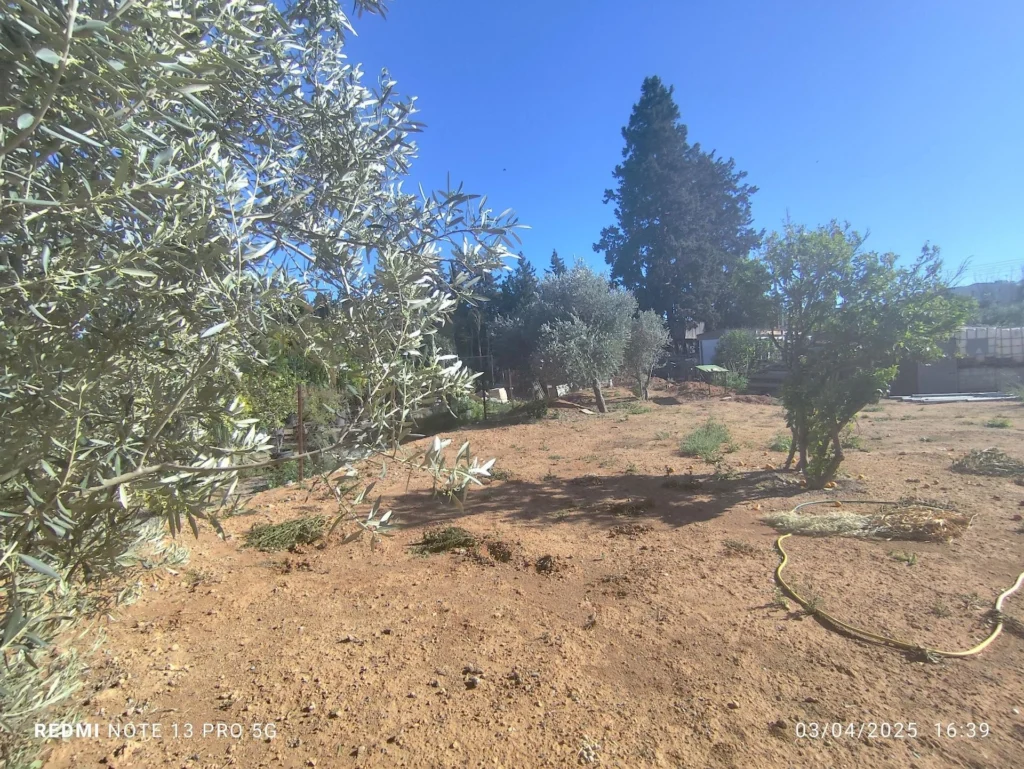 Plot for Sale in Trachoni Lemesou, Limassol District