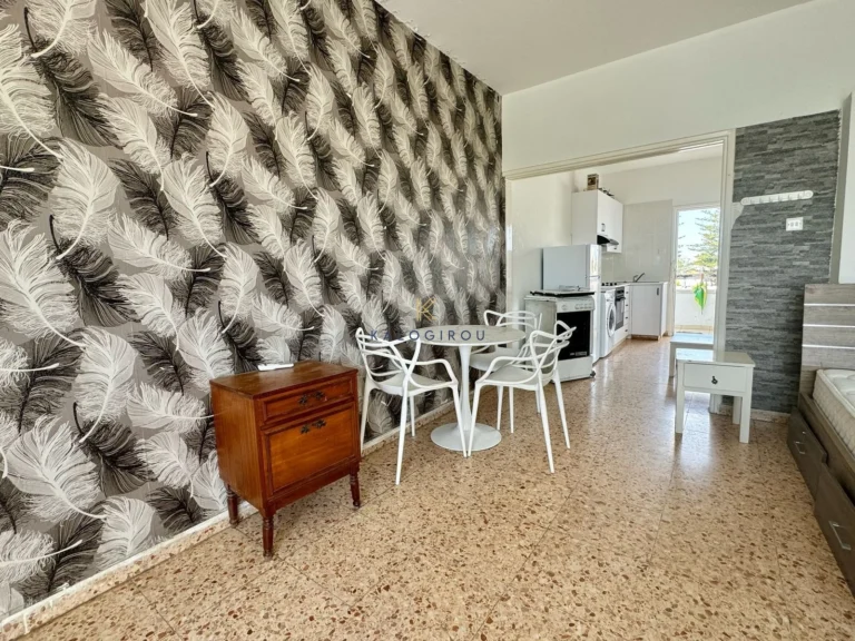 30m² Apartment for Rent in Larnaca – Chrysopolitissa