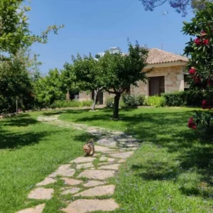 6+ Bedroom House for Sale in Ypsonas, Limassol District