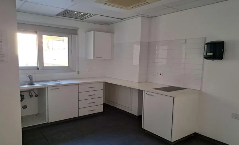 1584m² Office for Rent in Ypsonas, Limassol District