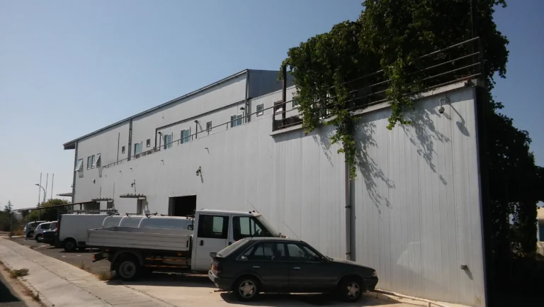 1000m² Office for Sale in Tremithousa, Paphos District