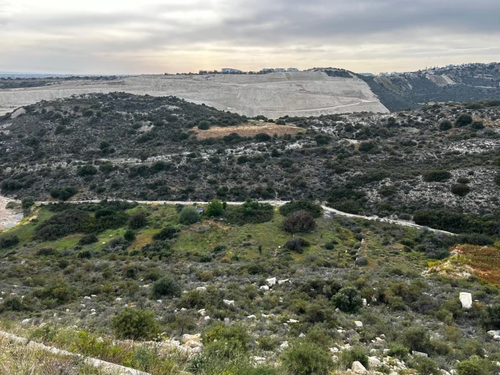 11,033m² Plot for Sale in Limassol – Panthea
