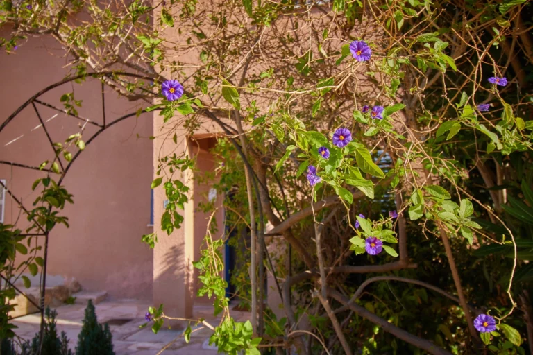 3 Bedroom House for Sale in Kato Paphos