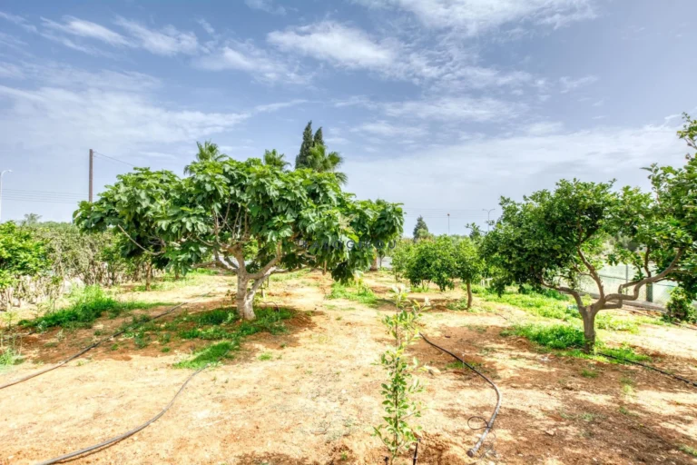 4 Bedroom House for Sale in Protaras, Famagusta District