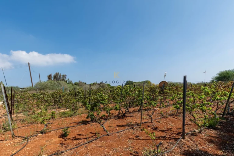 4 Bedroom House for Sale in Protaras, Famagusta District