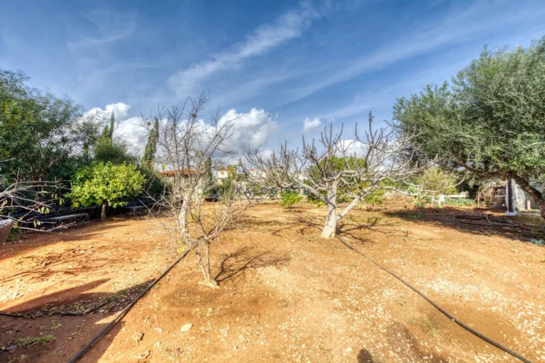 3 Bedroom House for Sale in Agia Thekla, Famagusta District