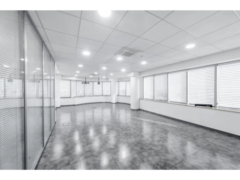 2922m² Building for Rent in Kato Polemidia, Limassol District