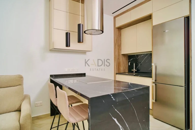 1 Bedroom Apartment for Rent in Limassol District