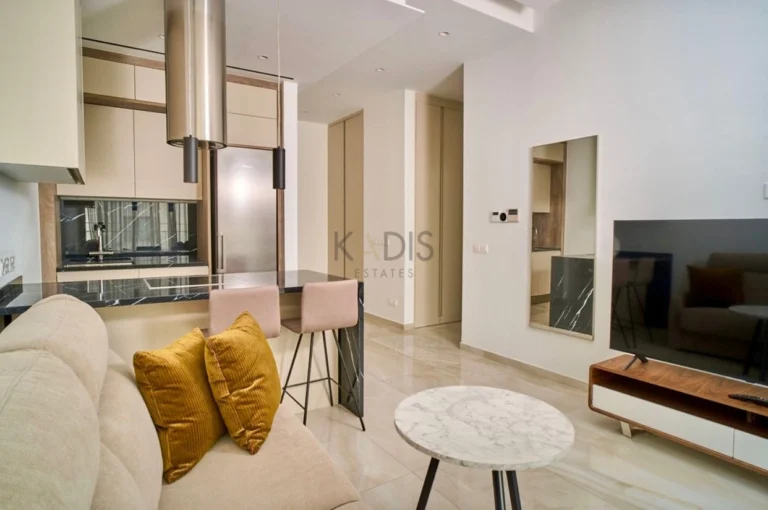 1 Bedroom Apartment for Rent in Limassol District