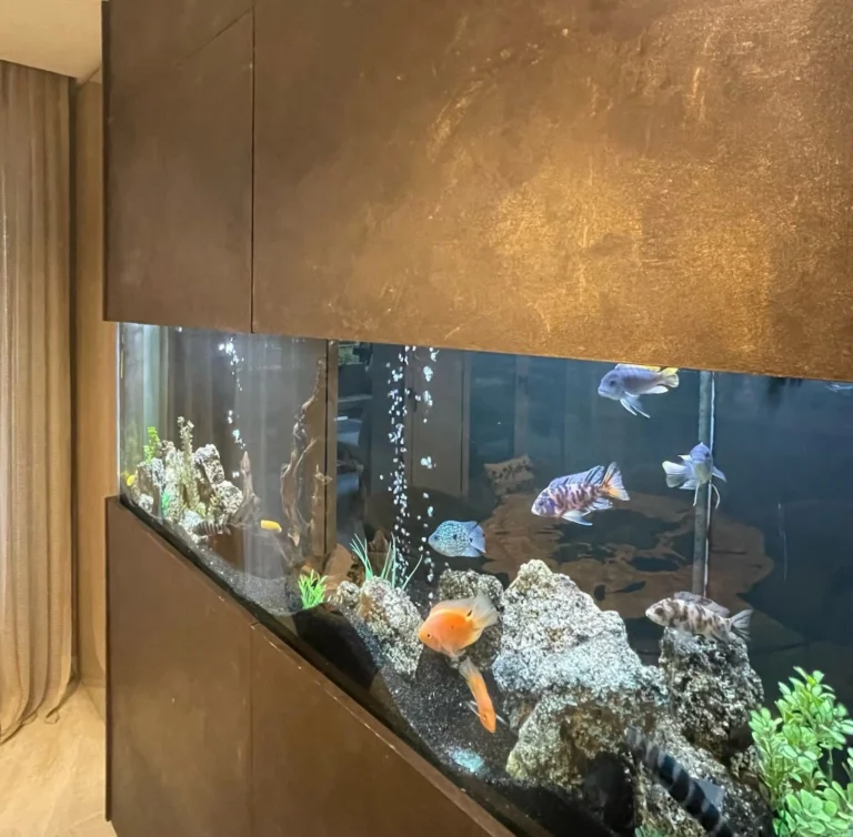 3 Bedroom House for Sale in Potamos Germasogeias, Limassol District