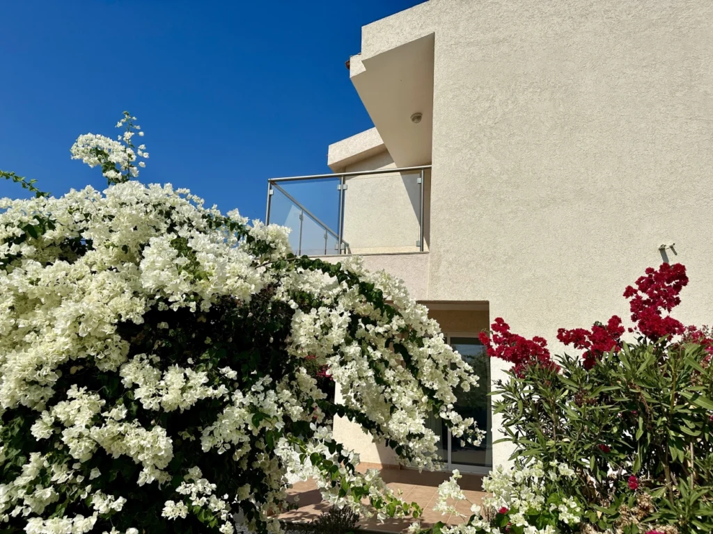 3 Bedroom House for Sale in Pegeia, Paphos District