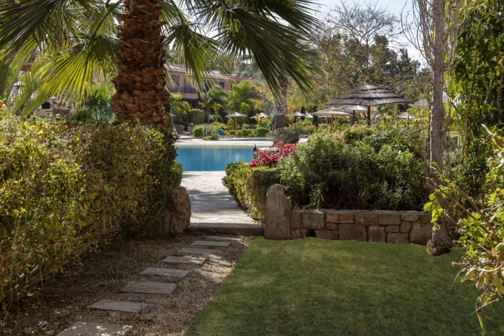 for Sale in Kato Paphos