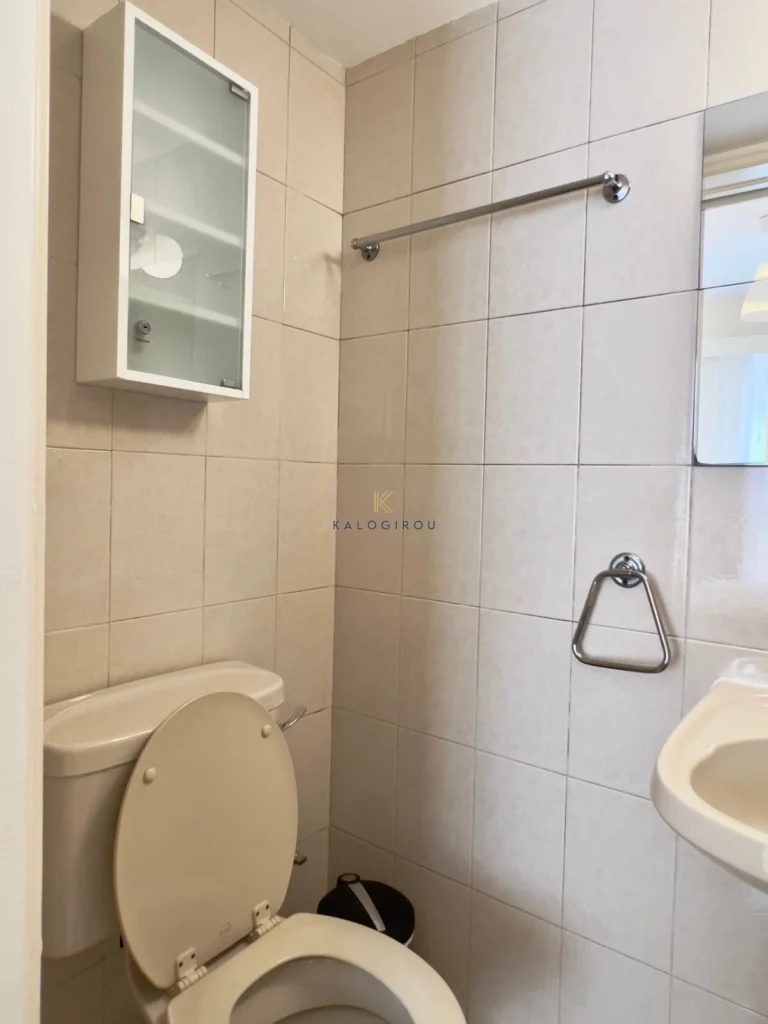 3 Bedroom Apartment for Rent in Larnaca District