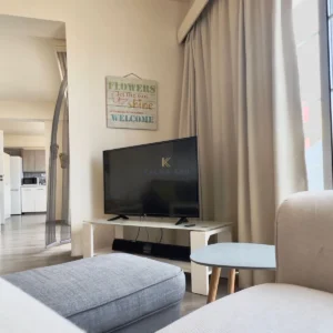 3 Bedroom Apartment for Rent in Larnaca District