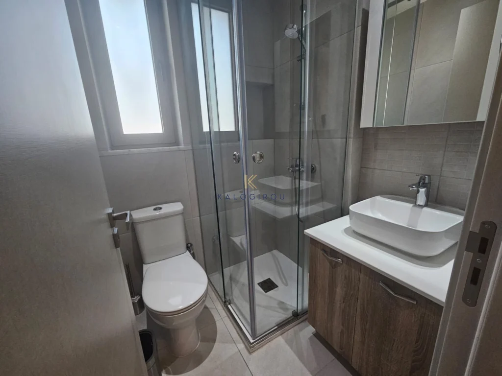 2 Bedroom Apartment for Rent in Larnaca District