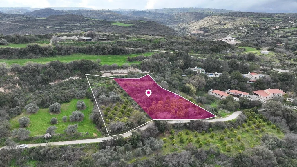 6,300m² Plot for Sale in Skoulli, Paphos District