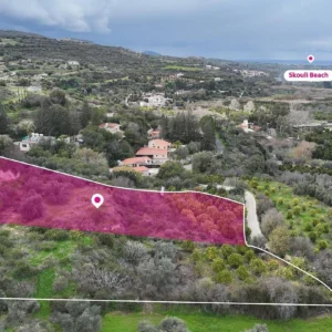 6,300m² Plot for Sale in Skoulli, Paphos District