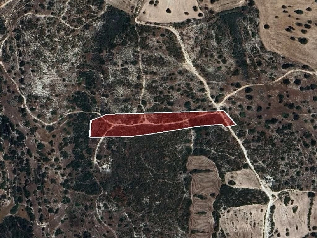 9,031m² Plot for Sale in Avdimou, Limassol District