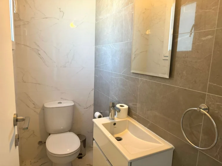 3 Bedroom Apartment for Rent in Limassol District