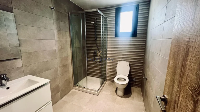 2 Bedroom Apartment for Rent in Larnaca District