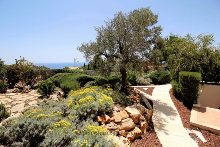 4 Bedroom House for Sale in Aphrodite Hills, Paphos District