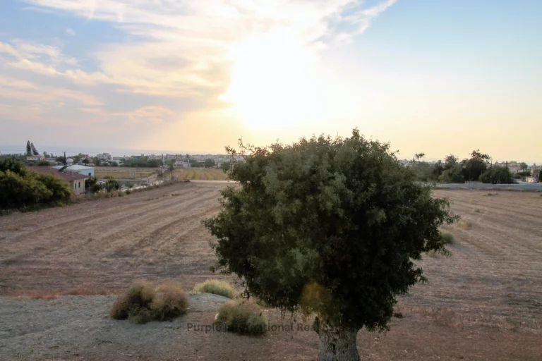 4 Bedroom House for Sale in Paphos – Emba