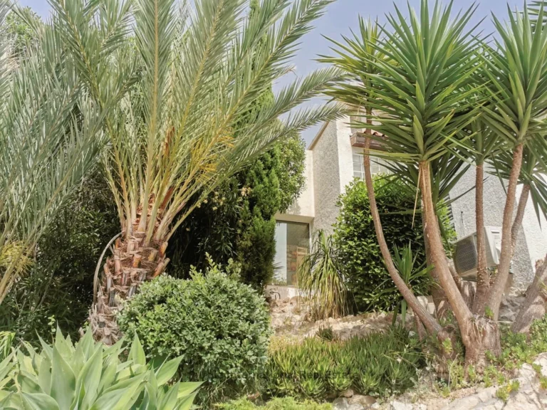 3 Bedroom House for Sale in Paphos District