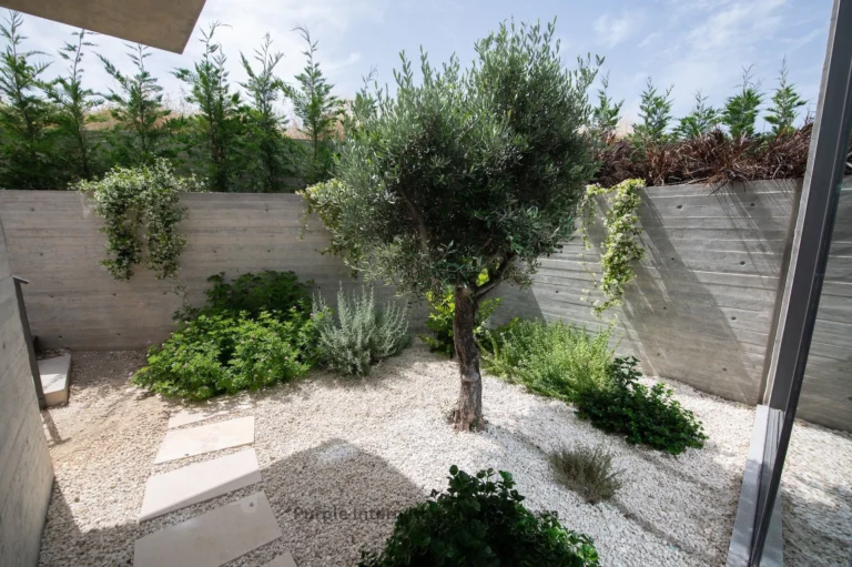 5 Bedroom House for Sale in Armou, Paphos District