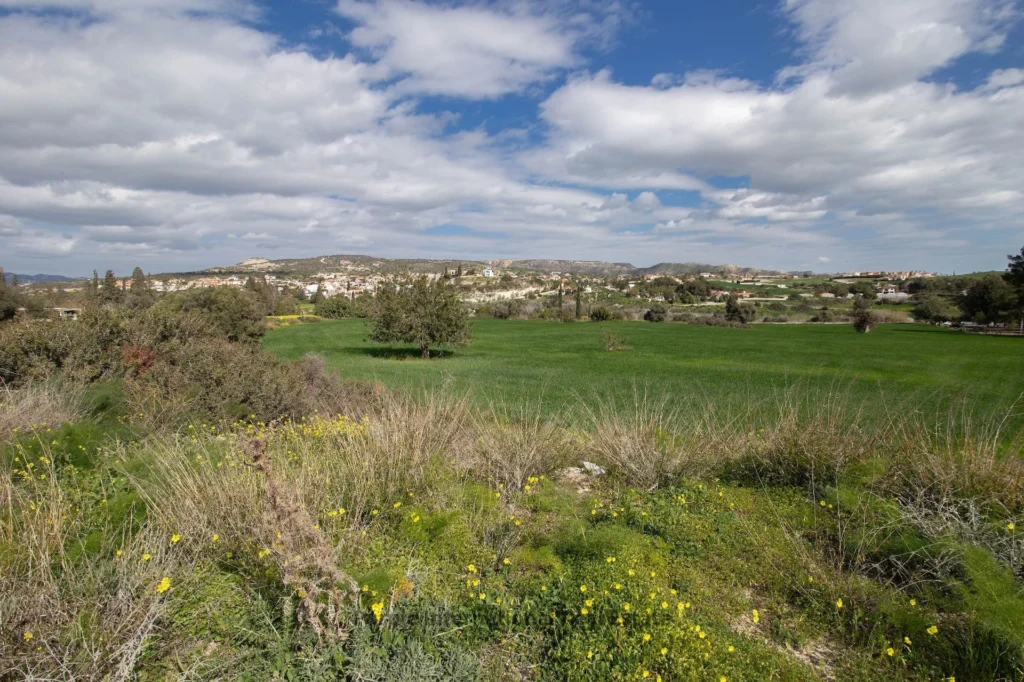 10,034m² Plot for Sale in Maroni, Larnaca District
